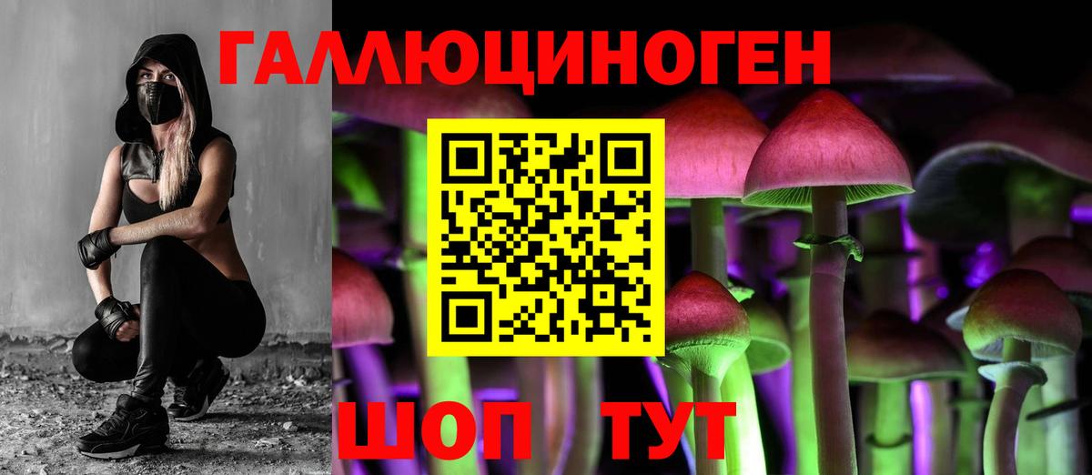 цены наркотик  Галлюциногенные грибы Psilocybine cubensis  Вход с VPN  Боровичи 
