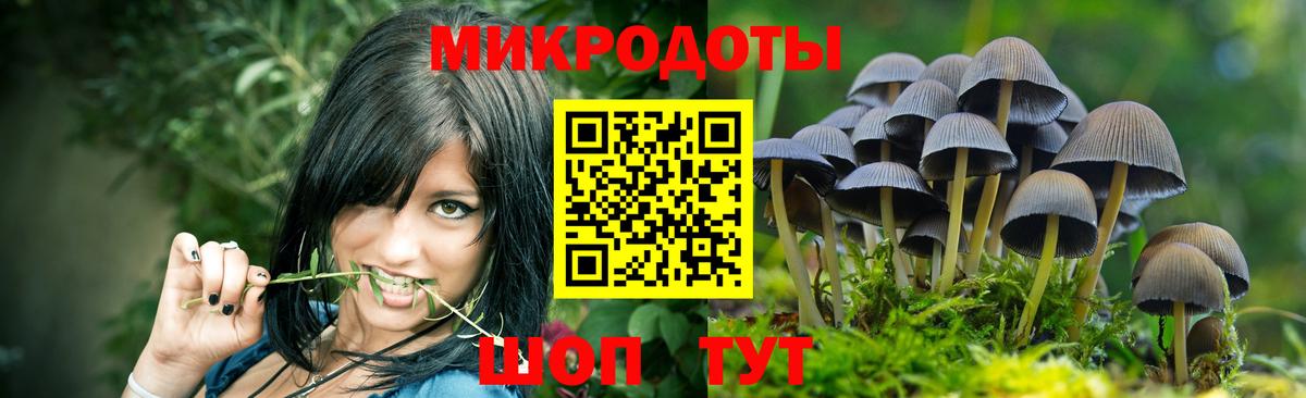 Галлюциногенные грибы Magic Shrooms Боровичи